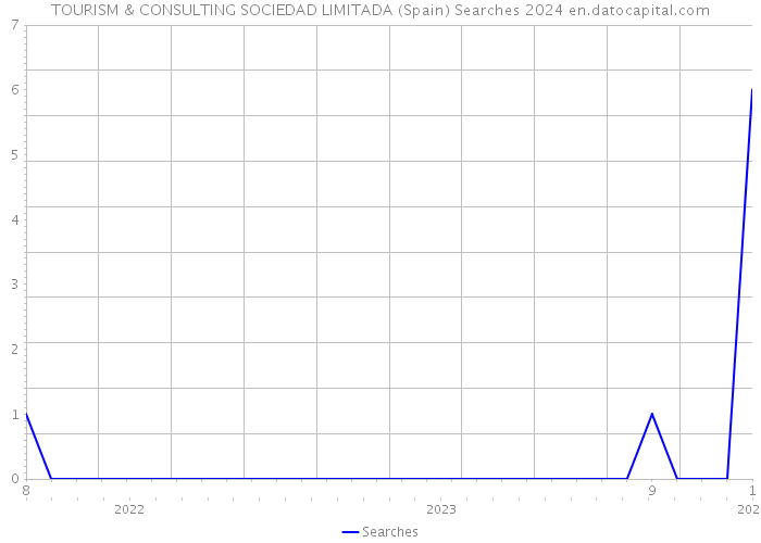 TOURISM & CONSULTING SOCIEDAD LIMITADA (Spain) Searches 2024 