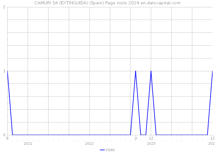 CAMURI SA (EXTINGUIDA) (Spain) Page visits 2024 