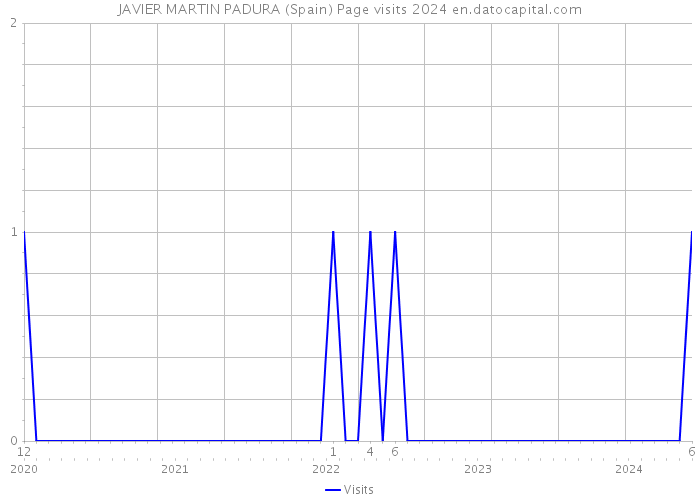 JAVIER MARTIN PADURA (Spain) Page visits 2024 