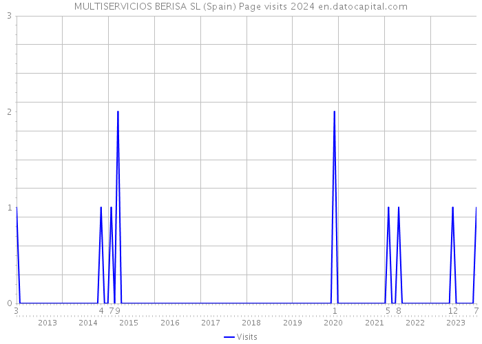 MULTISERVICIOS BERISA SL (Spain) Page visits 2024 