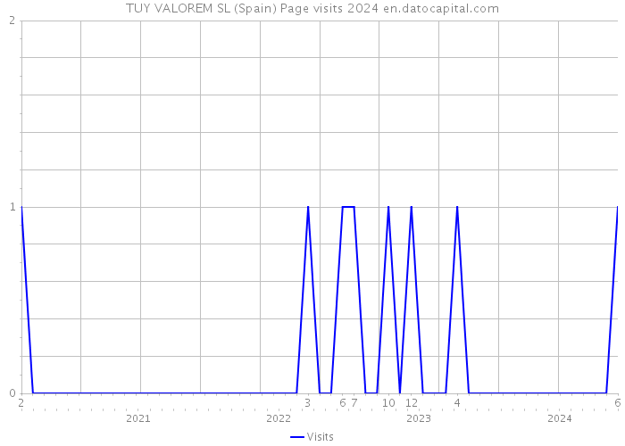 TUY VALOREM SL (Spain) Page visits 2024 