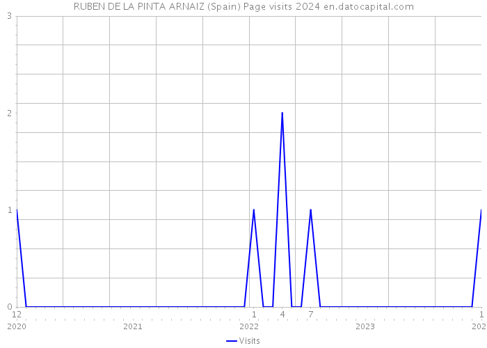 RUBEN DE LA PINTA ARNAIZ (Spain) Page visits 2024 