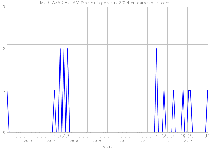 MURTAZA GHULAM (Spain) Page visits 2024 