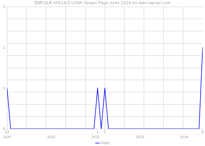 ENRIQUE ANGULO LUNA (Spain) Page visits 2024 