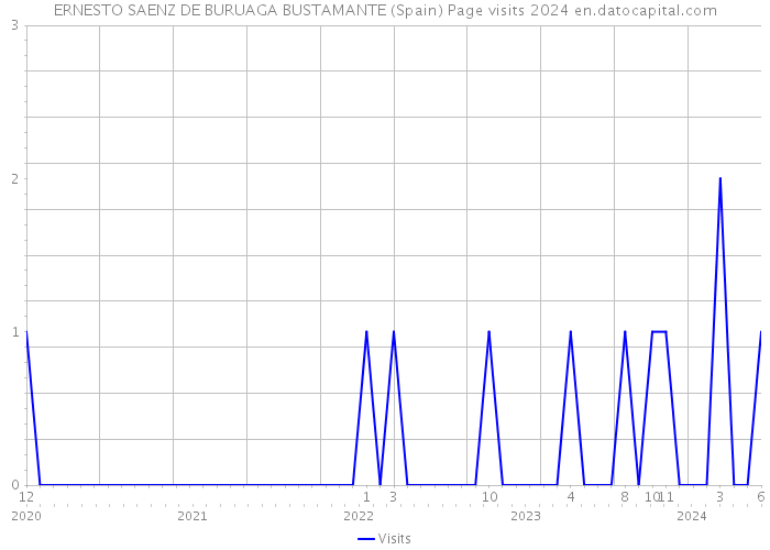 ERNESTO SAENZ DE BURUAGA BUSTAMANTE (Spain) Page visits 2024 