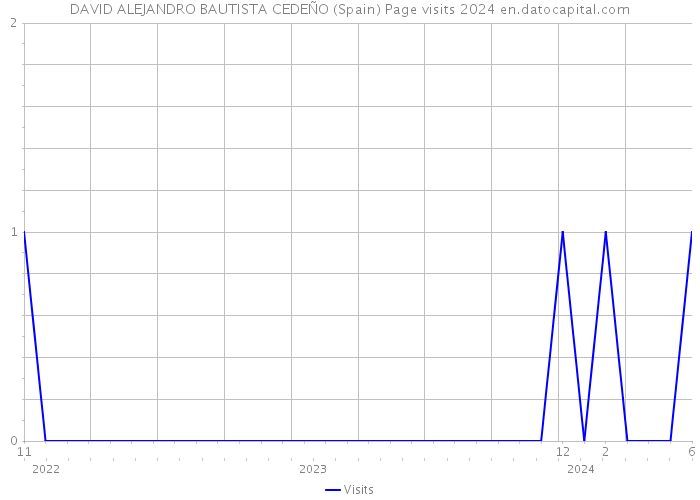 DAVID ALEJANDRO BAUTISTA CEDEÑO (Spain) Page visits 2024 