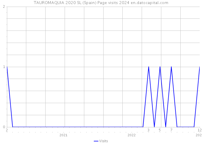 TAUROMAQUIA 2020 SL (Spain) Page visits 2024 