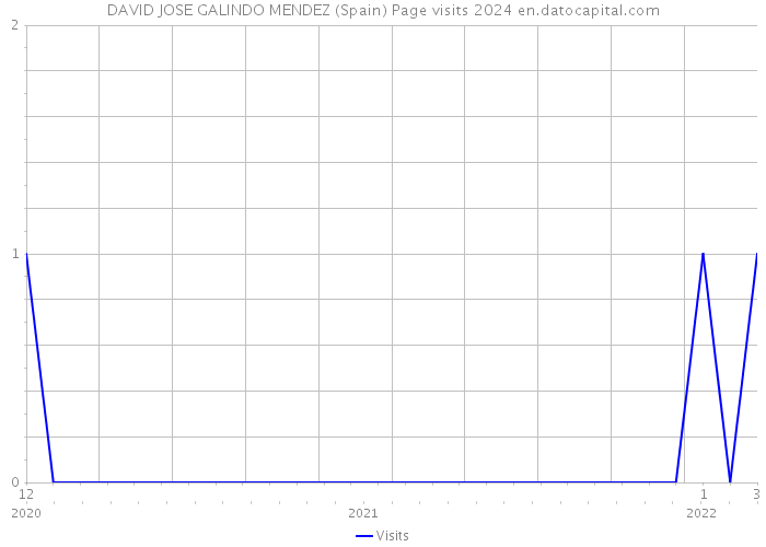 DAVID JOSE GALINDO MENDEZ (Spain) Page visits 2024 