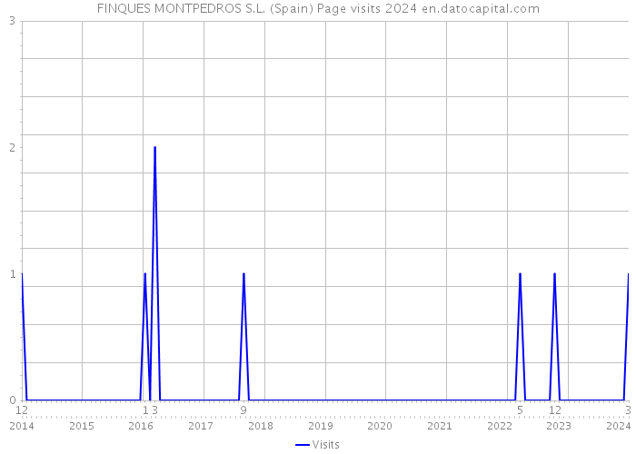 FINQUES MONTPEDROS S.L. (Spain) Page visits 2024 
