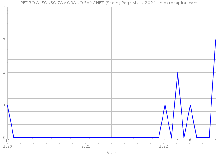 PEDRO ALFONSO ZAMORANO SANCHEZ (Spain) Page visits 2024 
