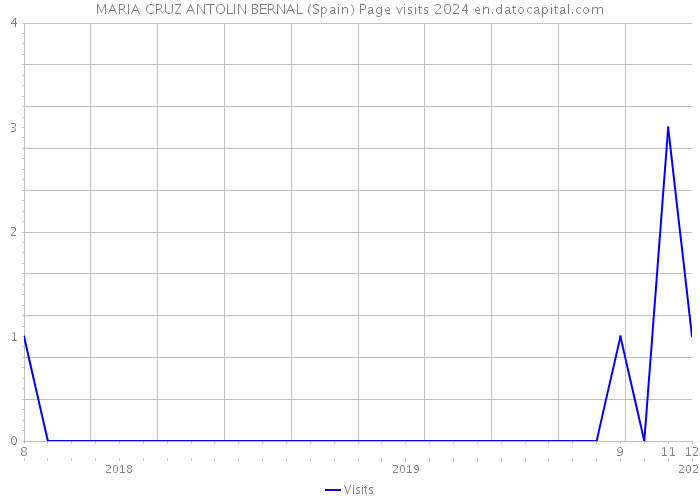 MARIA CRUZ ANTOLIN BERNAL (Spain) Page visits 2024 