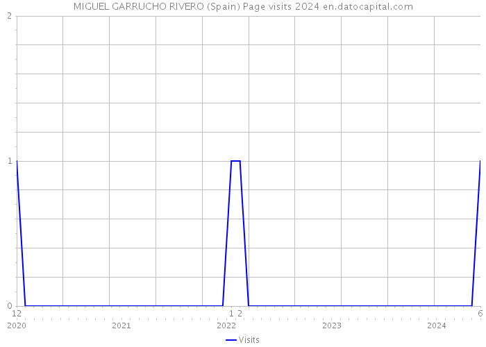 MIGUEL GARRUCHO RIVERO (Spain) Page visits 2024 