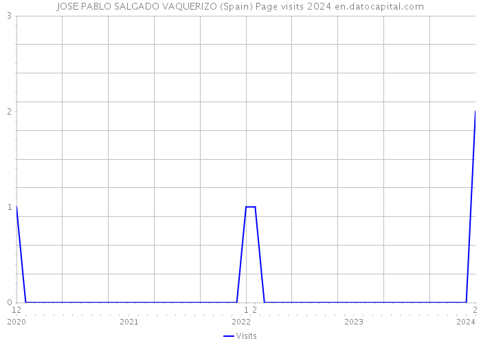 JOSE PABLO SALGADO VAQUERIZO (Spain) Page visits 2024 