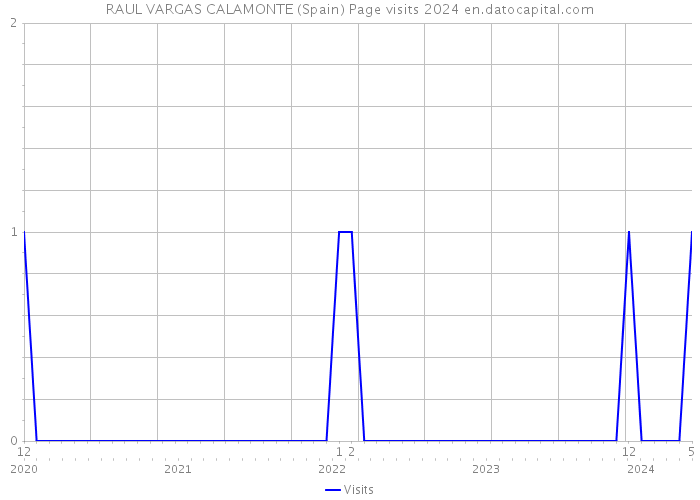 RAUL VARGAS CALAMONTE (Spain) Page visits 2024 