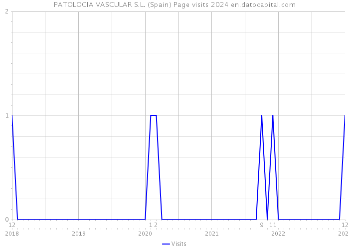 PATOLOGIA VASCULAR S.L. (Spain) Page visits 2024 
