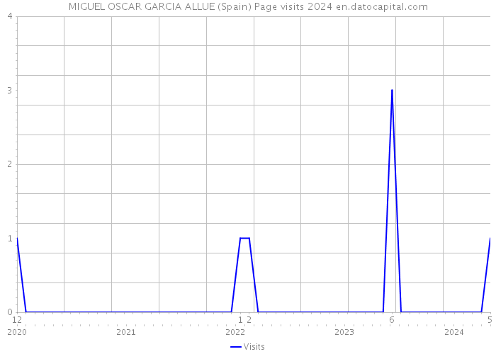 MIGUEL OSCAR GARCIA ALLUE (Spain) Page visits 2024 