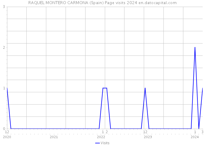 RAQUEL MONTERO CARMONA (Spain) Page visits 2024 
