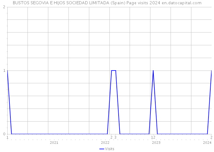 BUSTOS SEGOVIA E HIJOS SOCIEDAD LIMITADA (Spain) Page visits 2024 