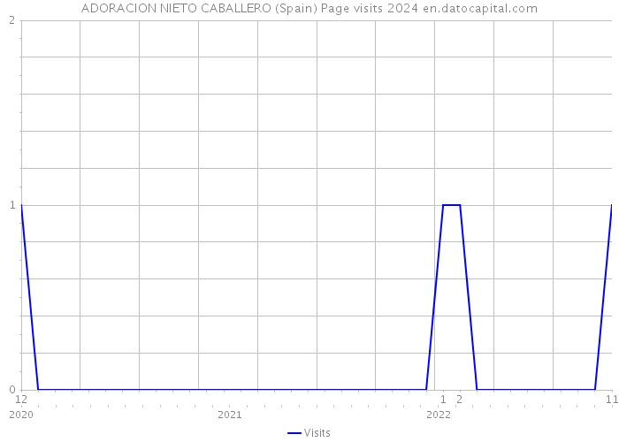 ADORACION NIETO CABALLERO (Spain) Page visits 2024 