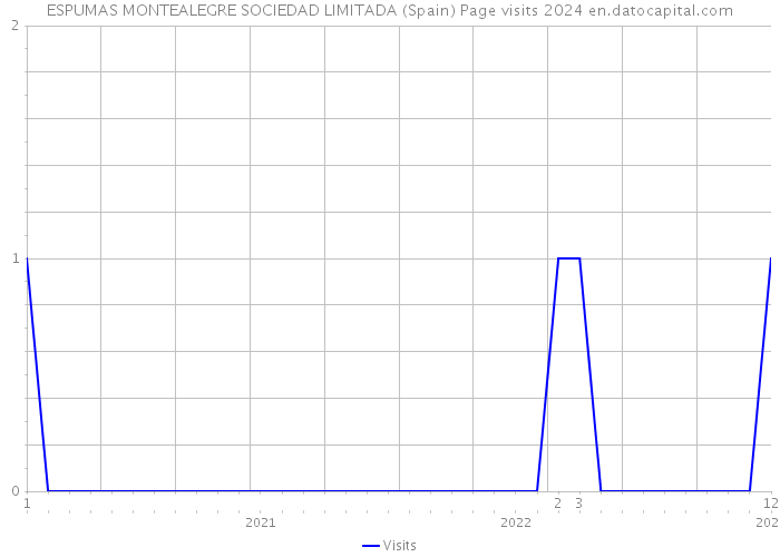 ESPUMAS MONTEALEGRE SOCIEDAD LIMITADA (Spain) Page visits 2024 