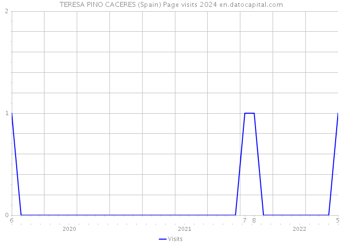TERESA PINO CACERES (Spain) Page visits 2024 