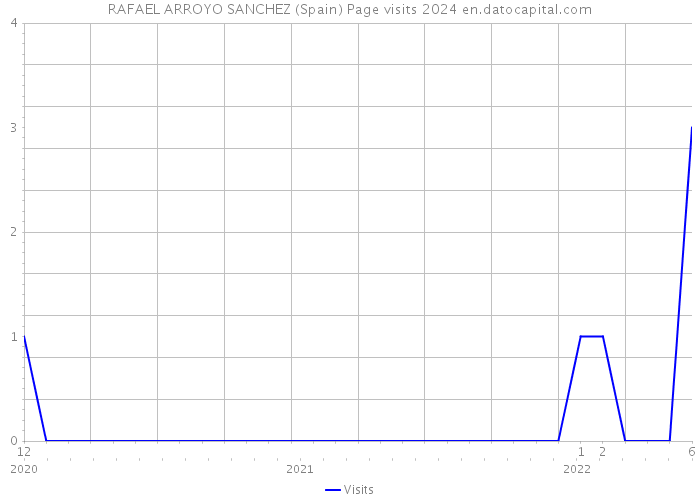 RAFAEL ARROYO SANCHEZ (Spain) Page visits 2024 