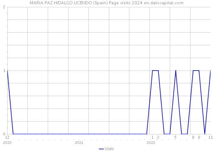 MARIA PAZ HIDALGO UCENDO (Spain) Page visits 2024 