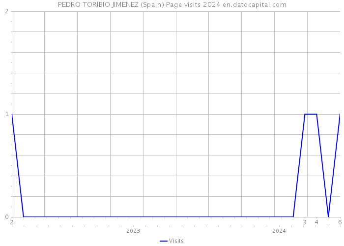 PEDRO TORIBIO JIMENEZ (Spain) Page visits 2024 