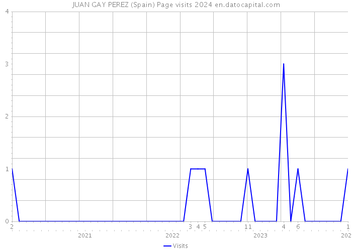 JUAN GAY PEREZ (Spain) Page visits 2024 