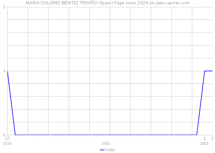 MARIA DOLORES BENITEZ TRIVIÑO (Spain) Page visits 2024 