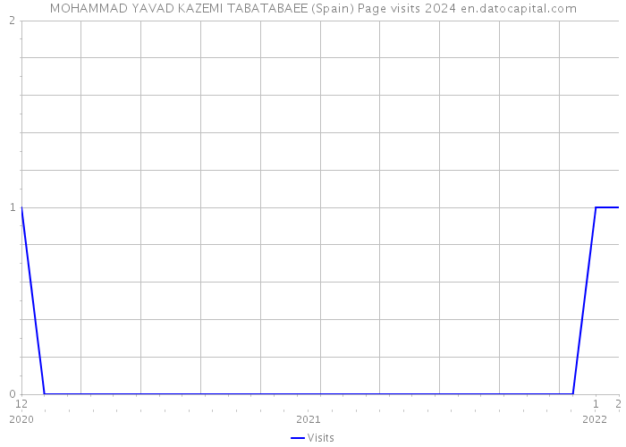 MOHAMMAD YAVAD KAZEMI TABATABAEE (Spain) Page visits 2024 