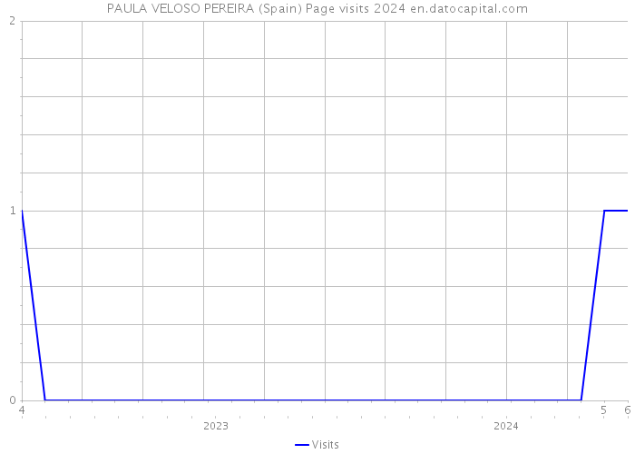 PAULA VELOSO PEREIRA (Spain) Page visits 2024 