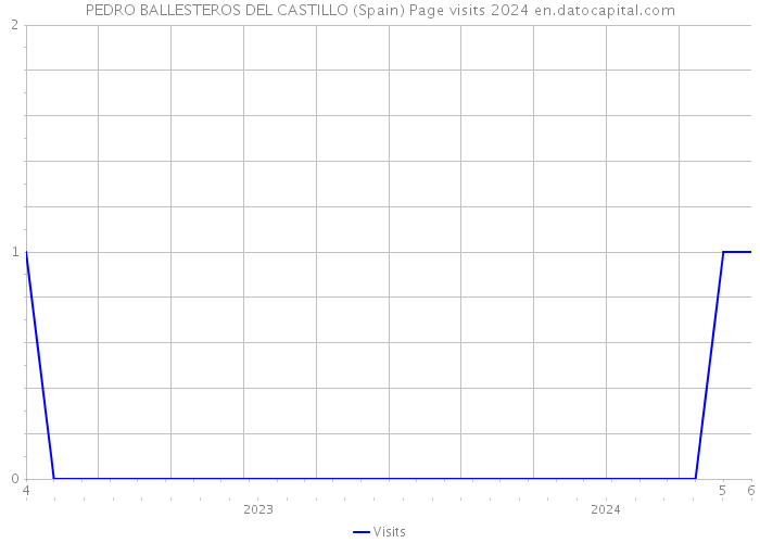 PEDRO BALLESTEROS DEL CASTILLO (Spain) Page visits 2024 