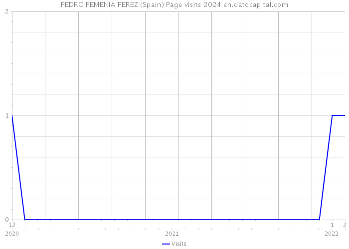 PEDRO FEMENIA PEREZ (Spain) Page visits 2024 
