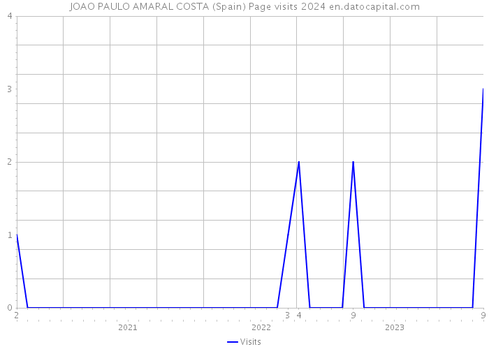 JOAO PAULO AMARAL COSTA (Spain) Page visits 2024 