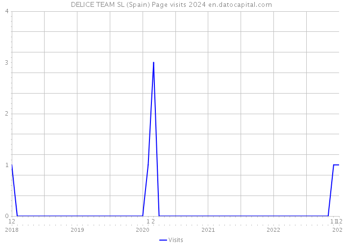 DELICE TEAM SL (Spain) Page visits 2024 