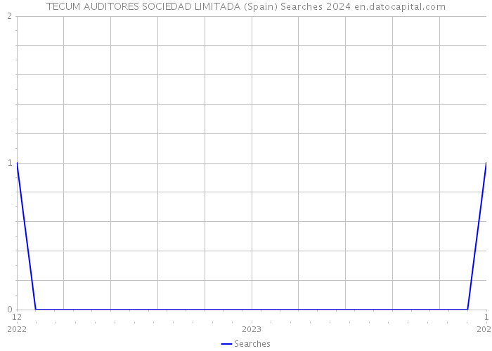 TECUM AUDITORES SOCIEDAD LIMITADA (Spain) Searches 2024 
