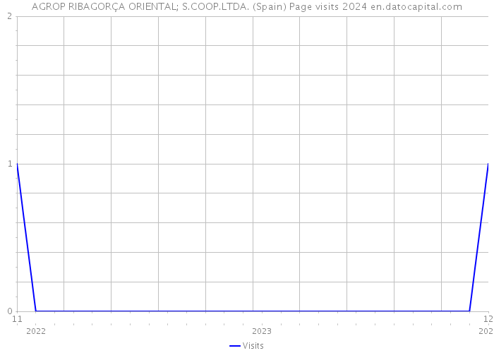 AGROP RIBAGORÇA ORIENTAL; S.COOP.LTDA. (Spain) Page visits 2024 