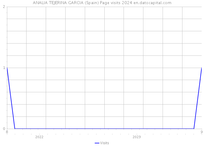 ANALIA TEJERINA GARCIA (Spain) Page visits 2024 