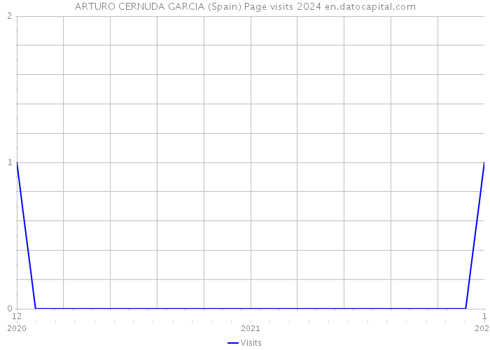ARTURO CERNUDA GARCIA (Spain) Page visits 2024 