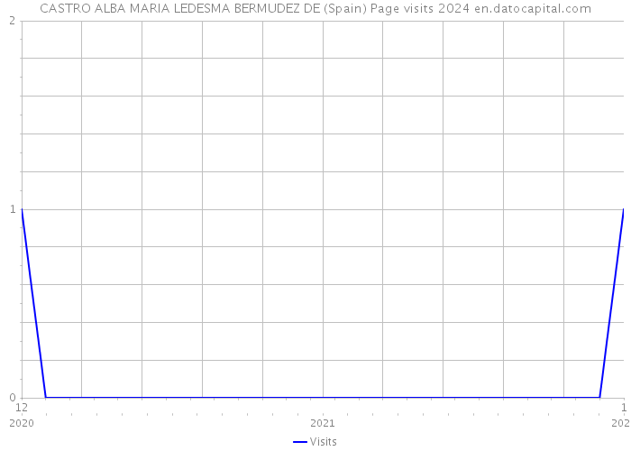 CASTRO ALBA MARIA LEDESMA BERMUDEZ DE (Spain) Page visits 2024 