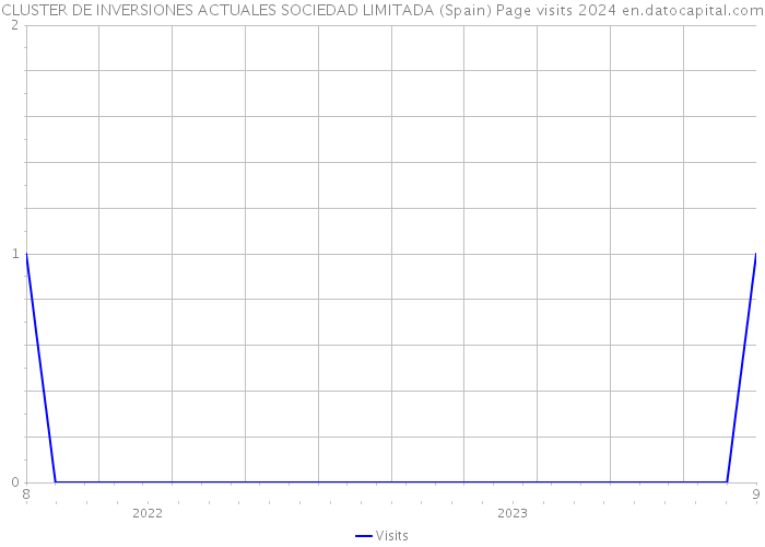 CLUSTER DE INVERSIONES ACTUALES SOCIEDAD LIMITADA (Spain) Page visits 2024 