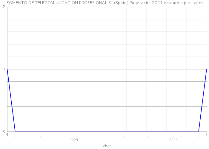 FOMENTO DE TELECOMUNICACION PROFESIONAL SL (Spain) Page visits 2024 