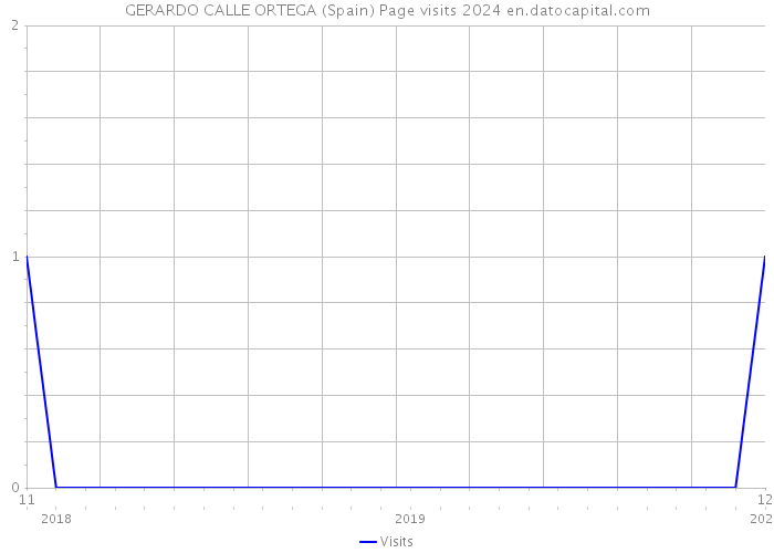 GERARDO CALLE ORTEGA (Spain) Page visits 2024 