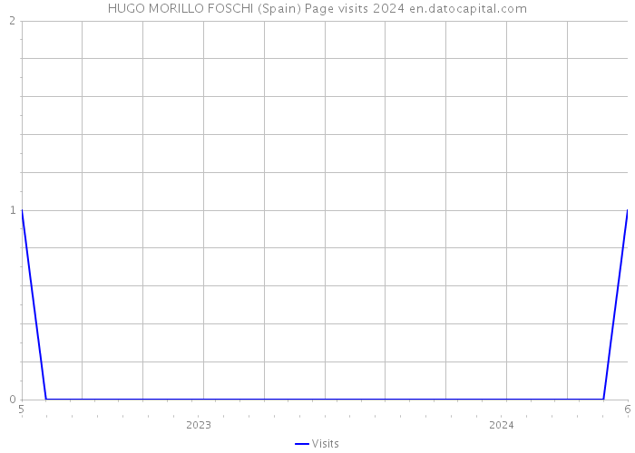 HUGO MORILLO FOSCHI (Spain) Page visits 2024 