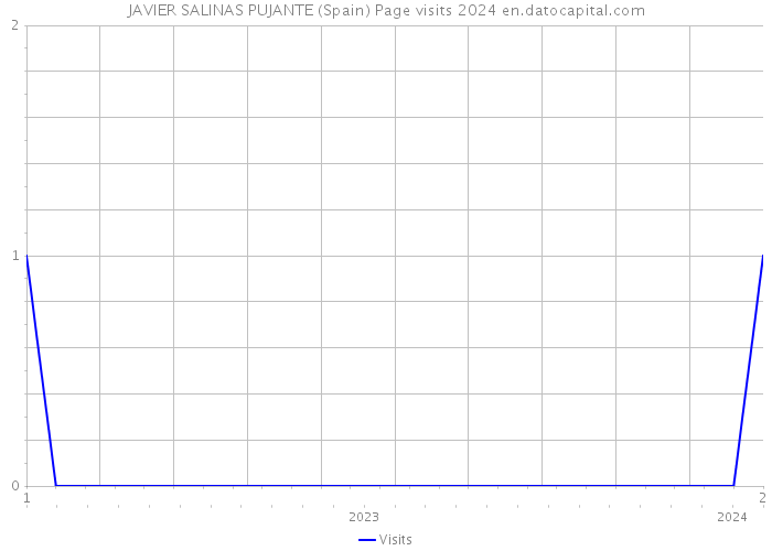 JAVIER SALINAS PUJANTE (Spain) Page visits 2024 