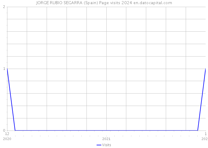 JORGE RUBIO SEGARRA (Spain) Page visits 2024 
