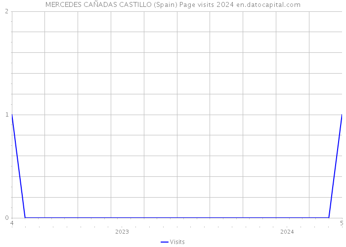 MERCEDES CAÑADAS CASTILLO (Spain) Page visits 2024 