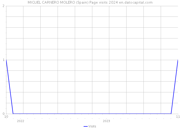 MIGUEL CARNERO MOLERO (Spain) Page visits 2024 
