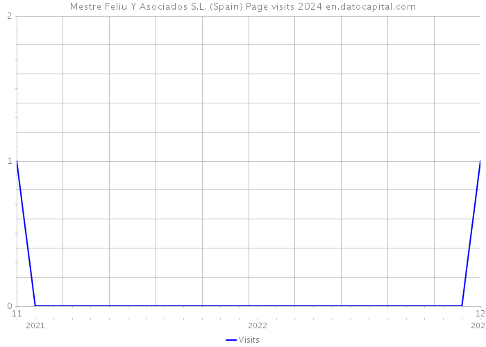 Mestre Feliu Y Asociados S.L. (Spain) Page visits 2024 